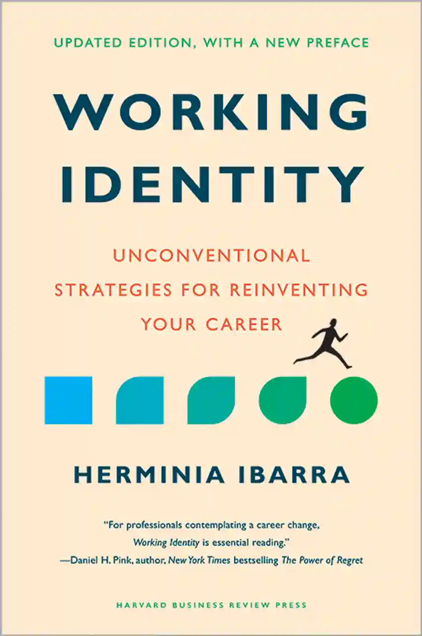 Working Identity book cover